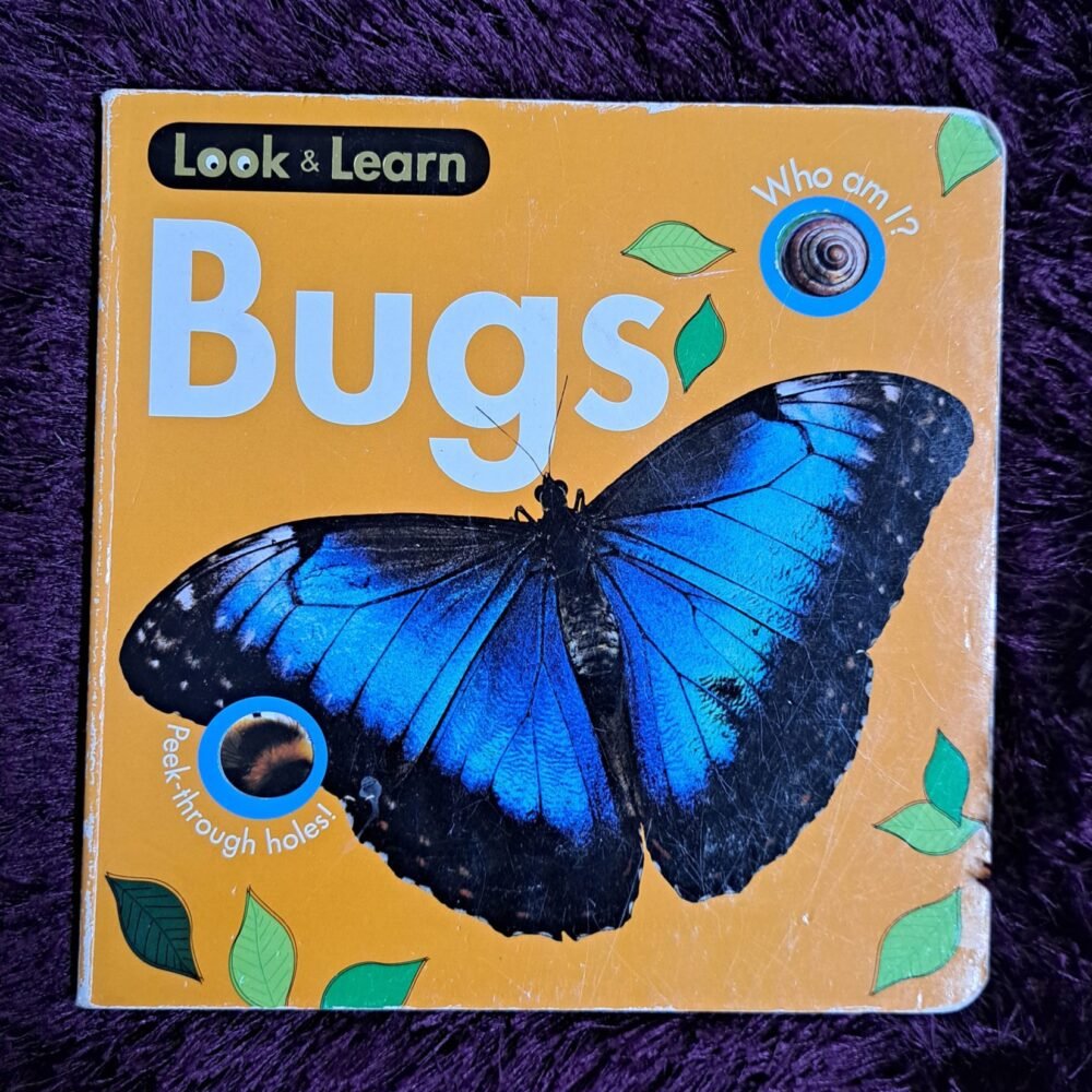 Look & Learn Bugs