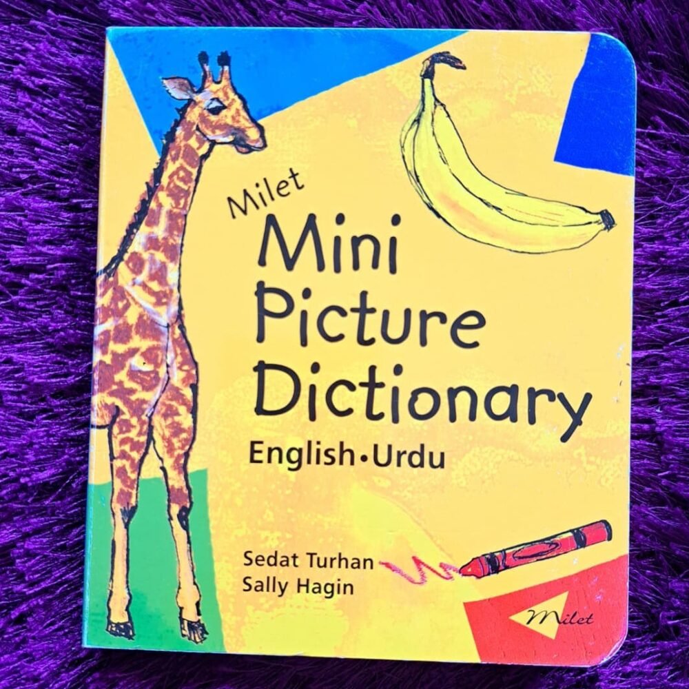 Mini Picture Dictionary