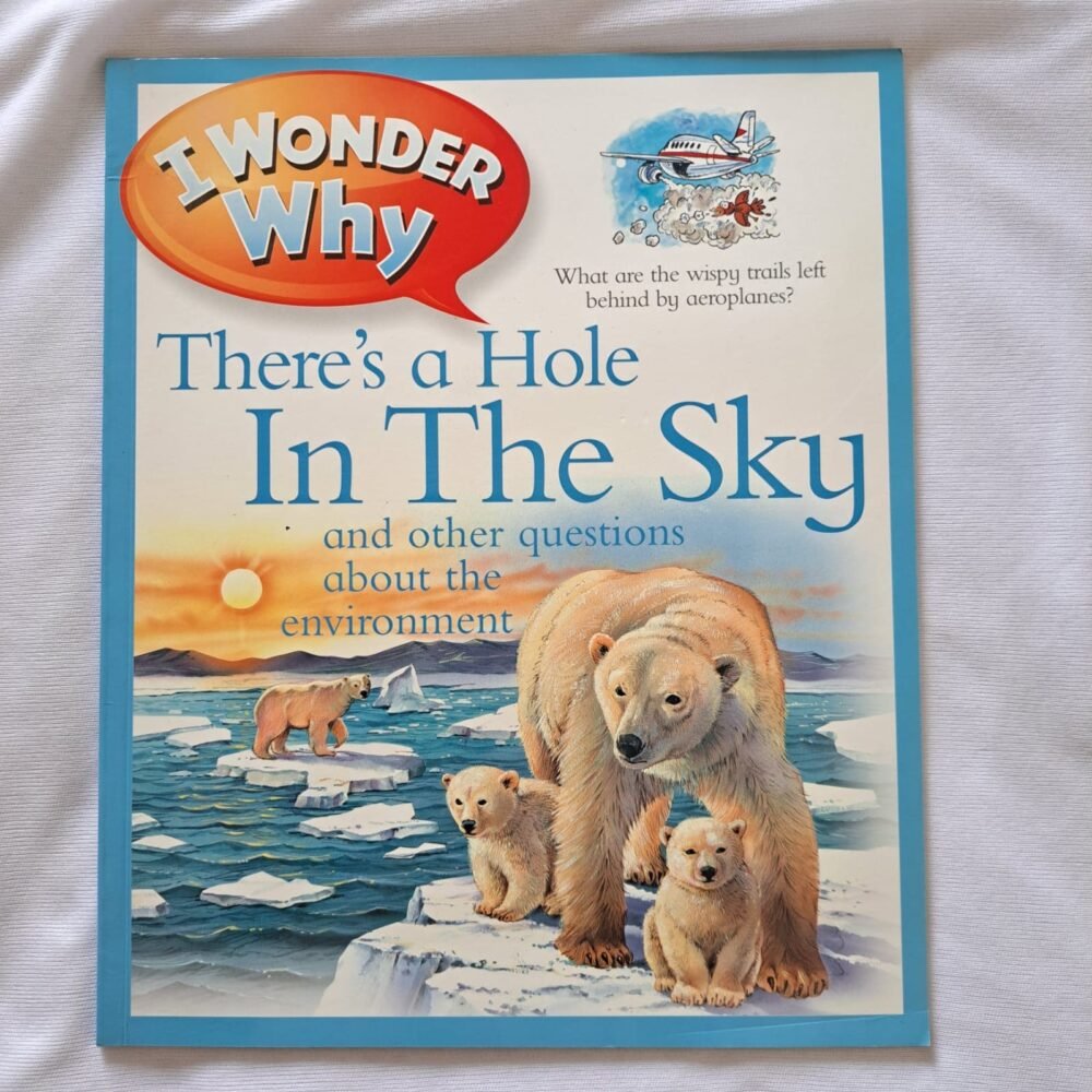 I Wonder Why There's A Hole In The Sky And Other Questions About The Environment